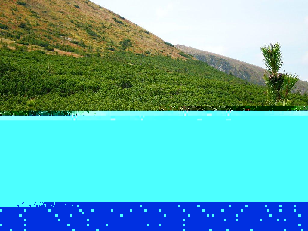 Говерла з panoramio.com (ч.2) - Говерла