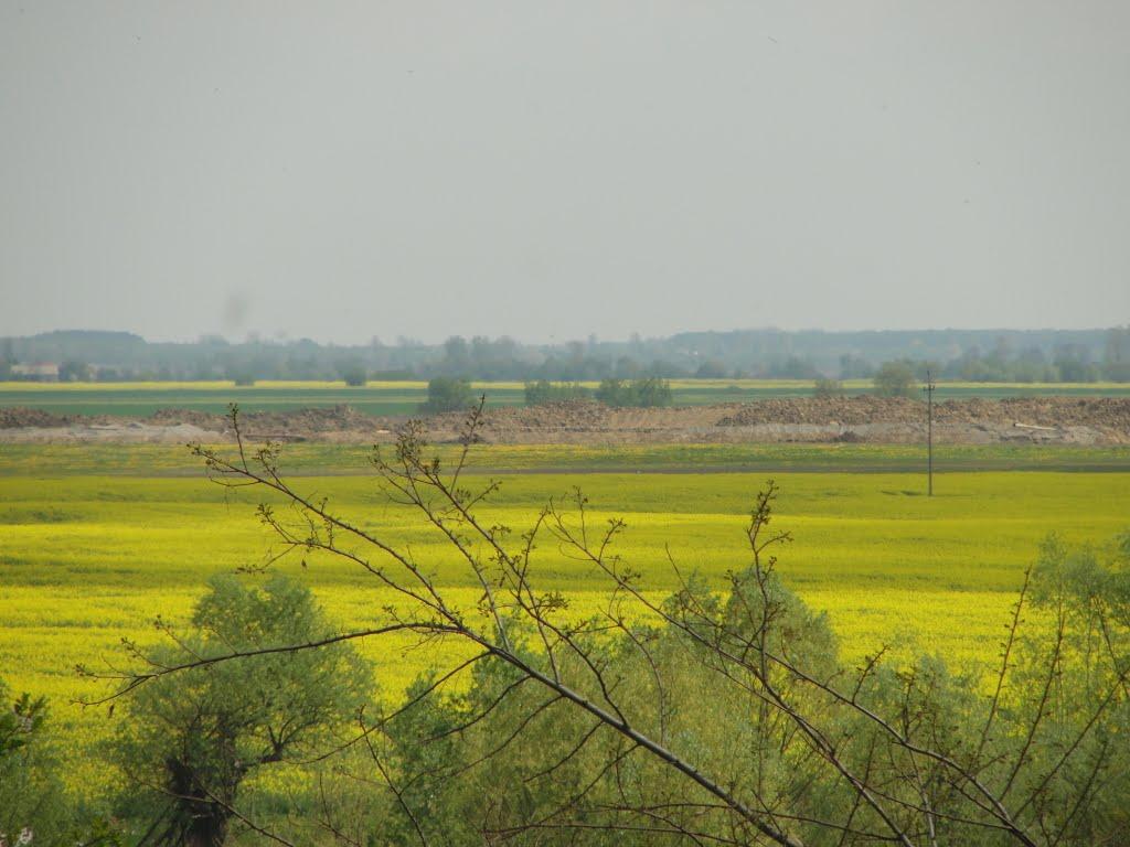 Буців з panoramio.com - Буців