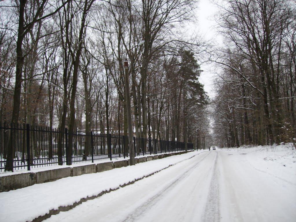 Брюховичі з panoramio.com - Брюховичі