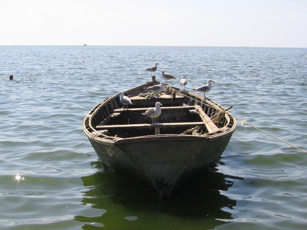 Сєдове з panoramio.com - Седово