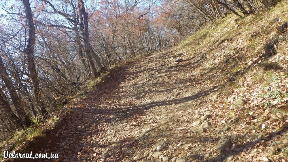 Поляна з panoramio.com - Поляна