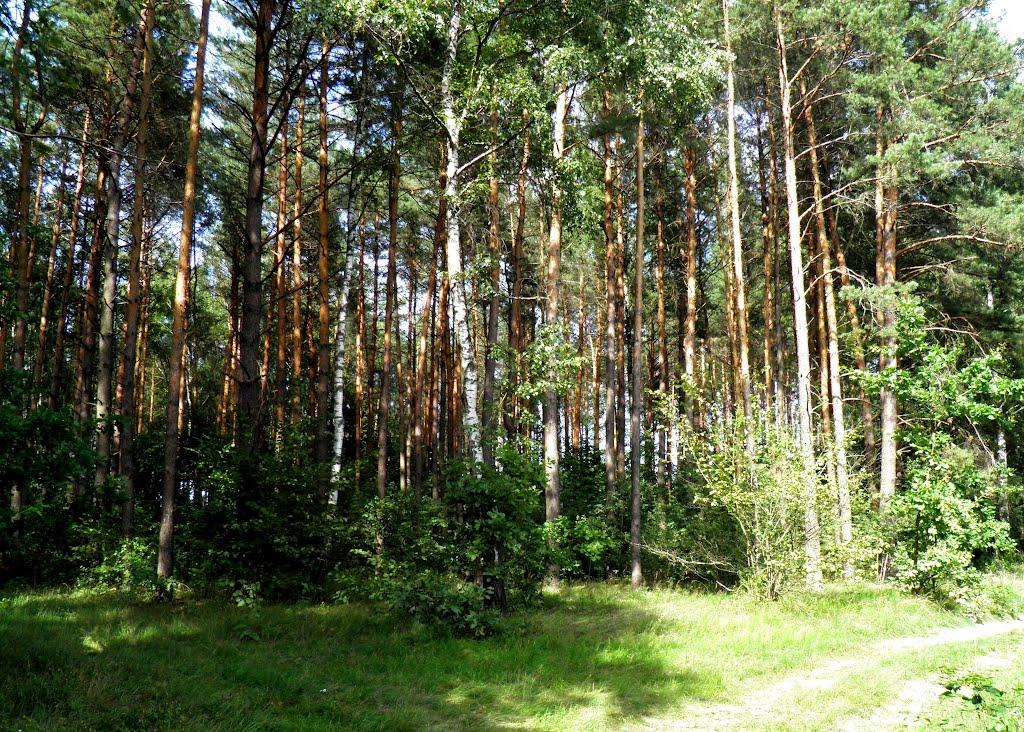 Городок з panoramio.com - Городок