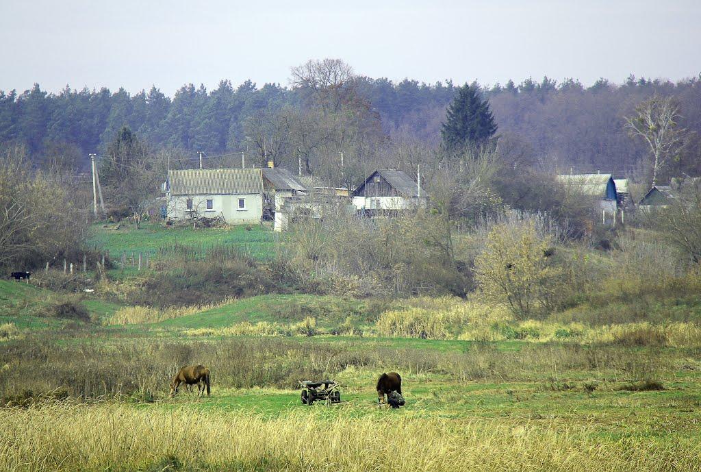 Скоморохи з panoramio.com - Скоморохи