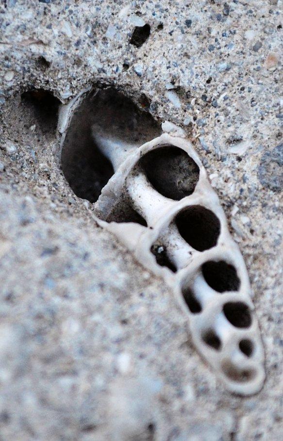 Сімеїз з panoramio.com (ч.2) - Симеиз