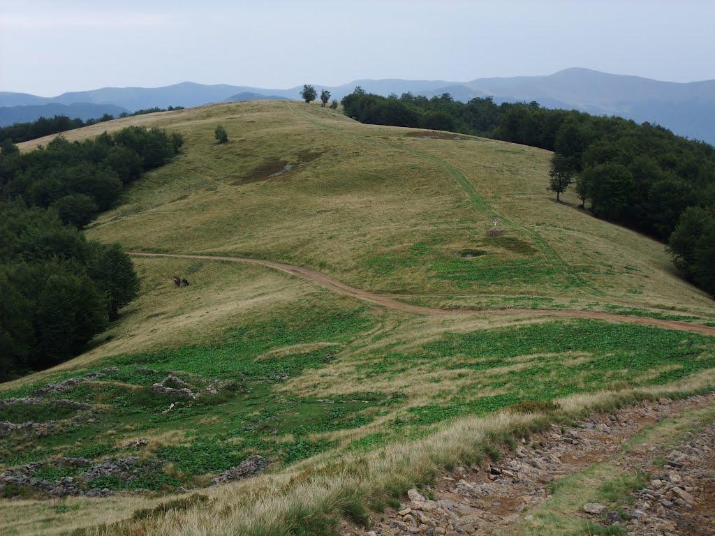 Усть-Чорна з panoramio.com - Усть-Чорна