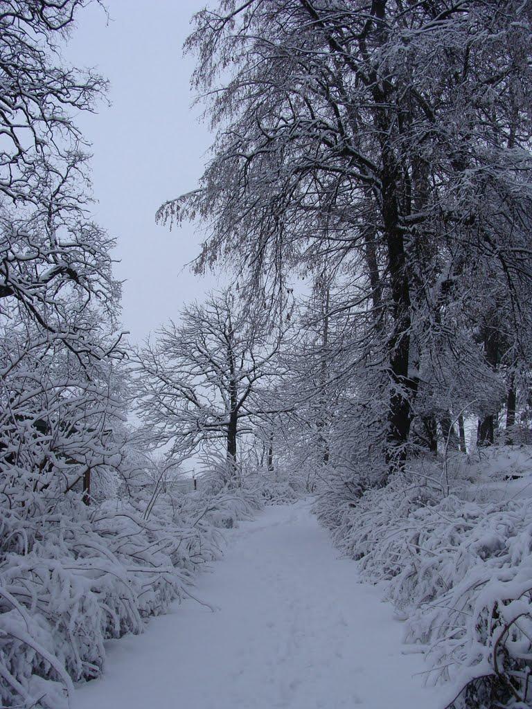 Калуш з panoramio.com (ч.2) - Kalush