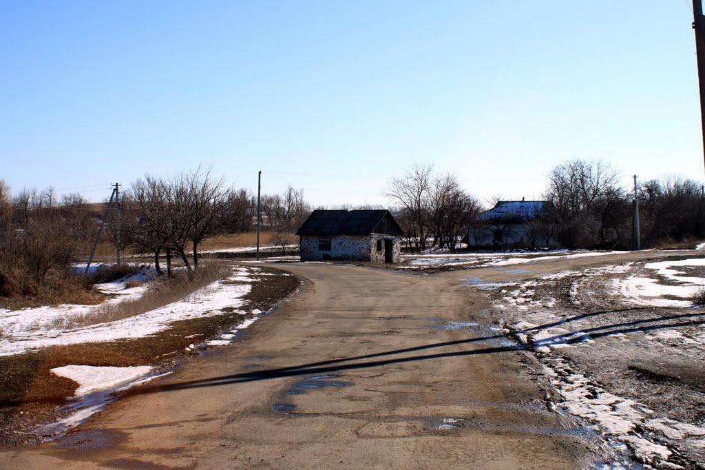 Данилова Балка з panoramio.com - Данилова Балка