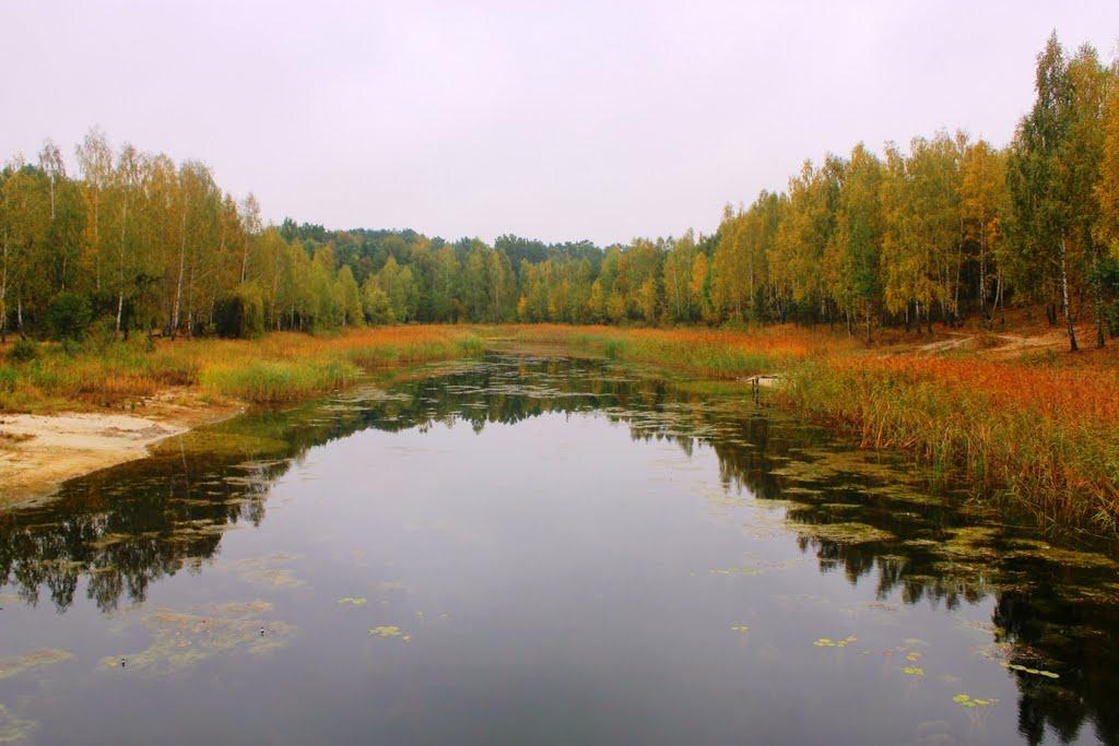 Старики з panoramio.com - Старики