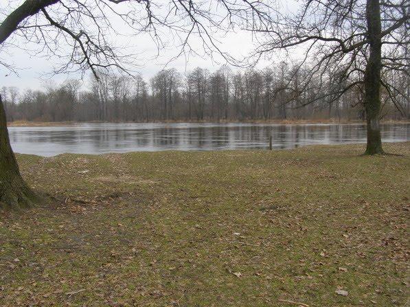 Кримне з panoramio.com - Кримне