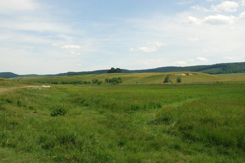 Пониква з panoramio.com - Пониква