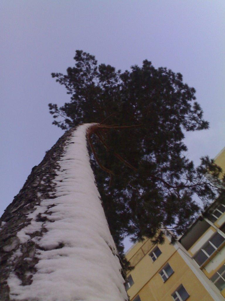 Славутич з panoramio.com - Славутич