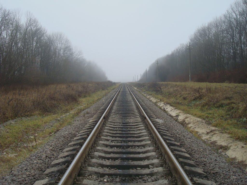 Соколівка з panoramio.com - Соколівка