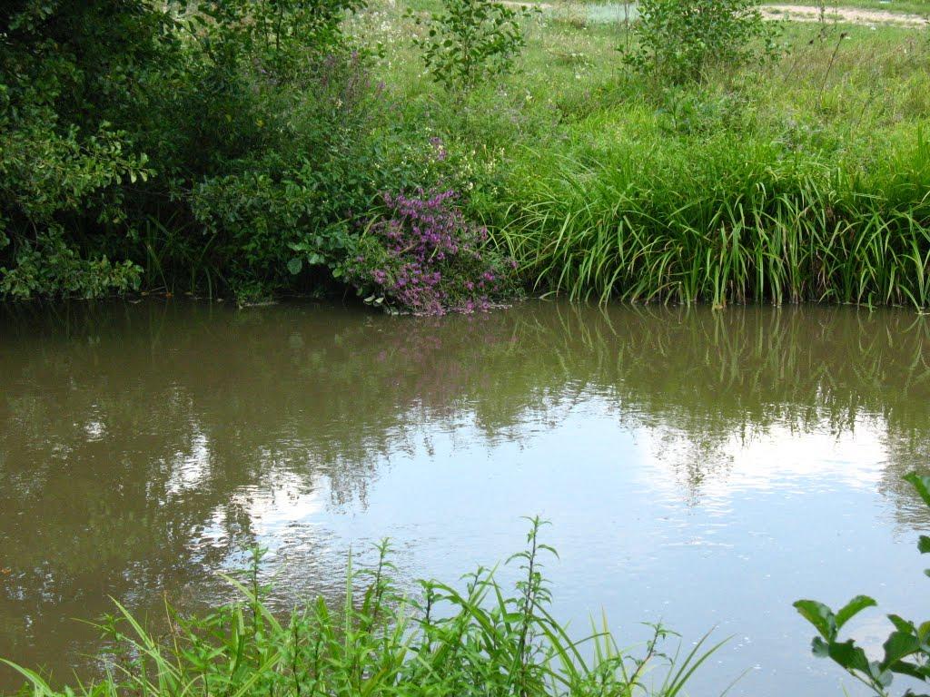 Вищеольчедаїв з panoramio.com - Вищеольчедаїв