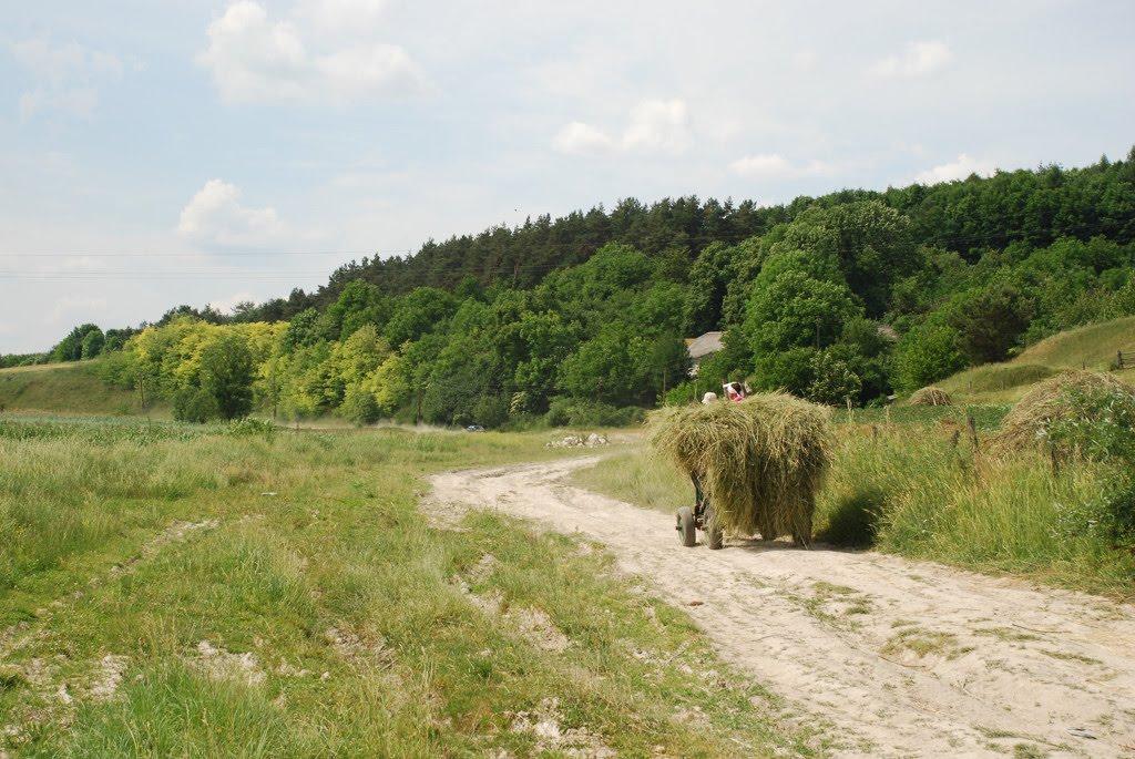 Пониква з panoramio.com - Пониква