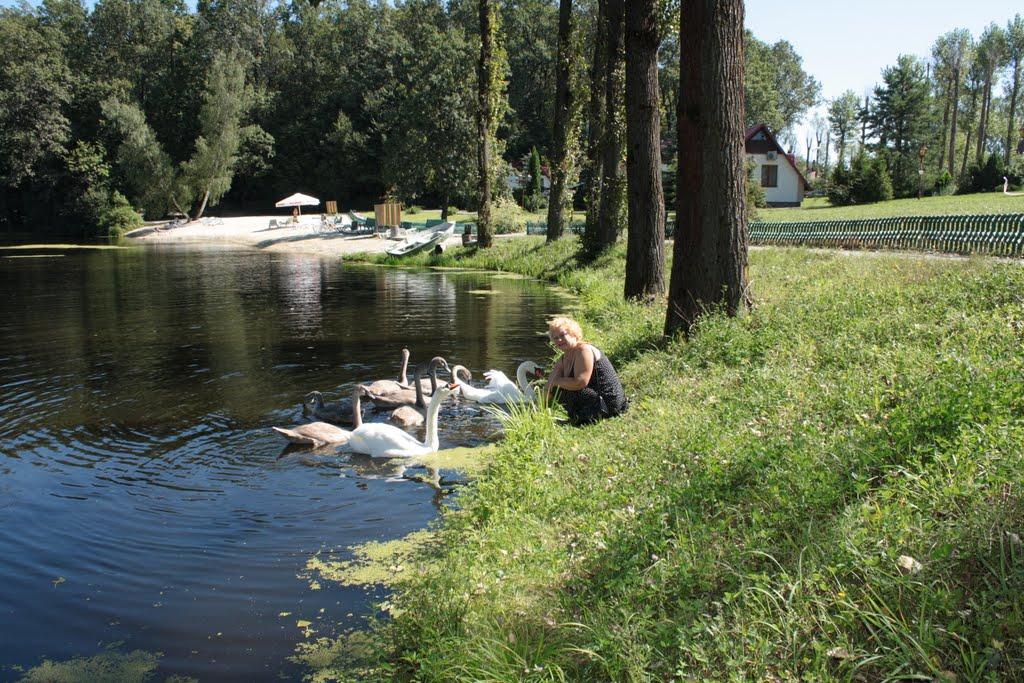 Басівка з panoramio.com - Басівка
