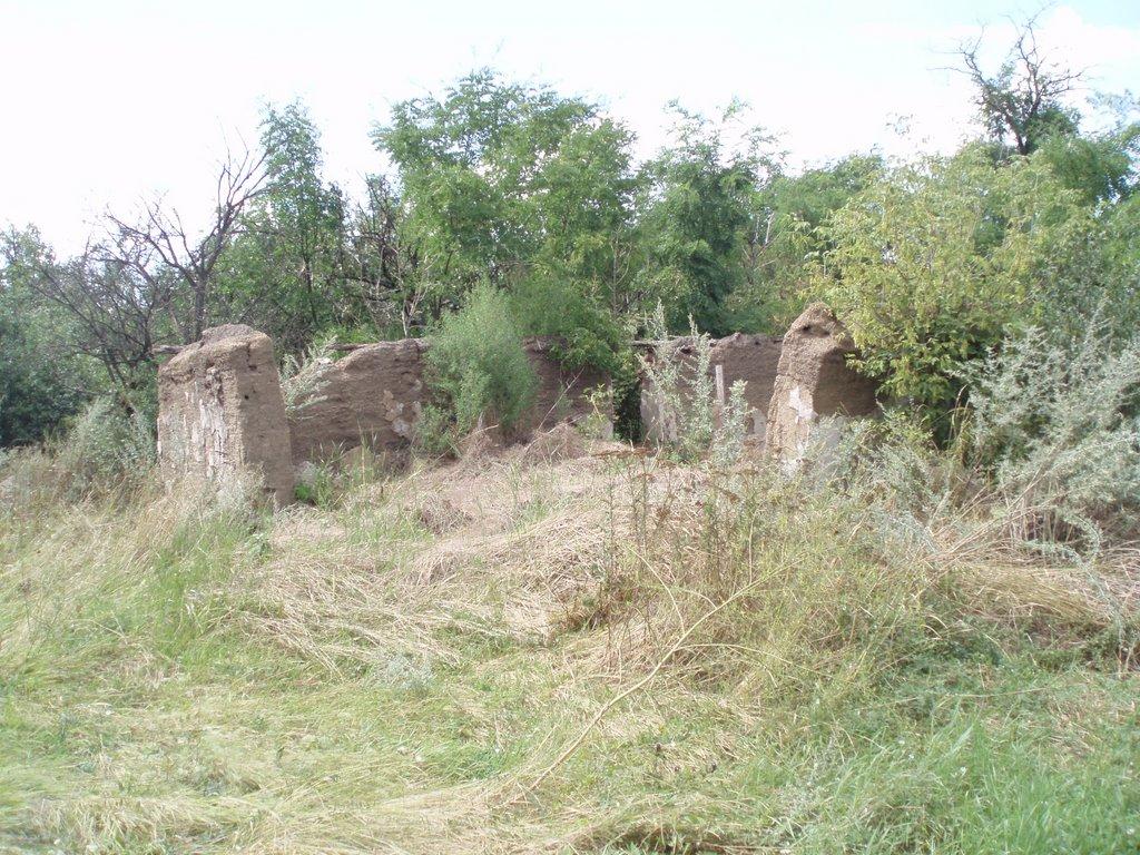 Червоноармійське з panoramio.com - Ганно-Мусіївка