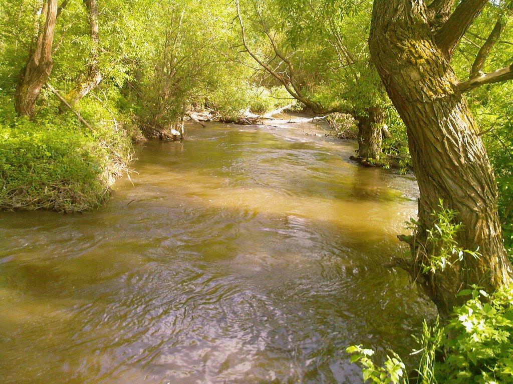 Кринцілів з panoramio.com - Кринцілів