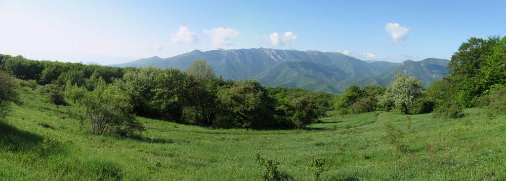 Розовий з panoramio.com (ч.2) - Розовий