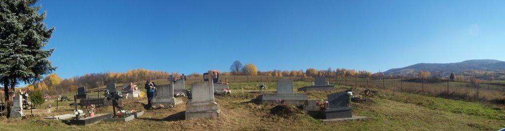 Княгиня з panoramio.com - Княгиня