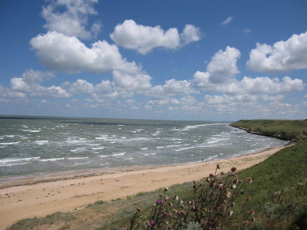 Кам'янське з panoramio.com - Кам'янське