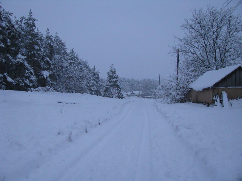 Троянівка з panoramio.com - Троянівка