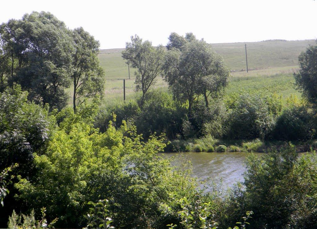 Червона Дубина з panoramio.com - Червона Дубина