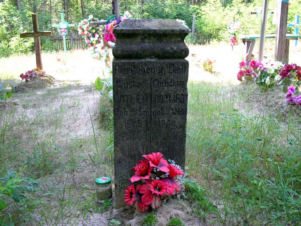 Рихальське з panoramio.com - Рихальське