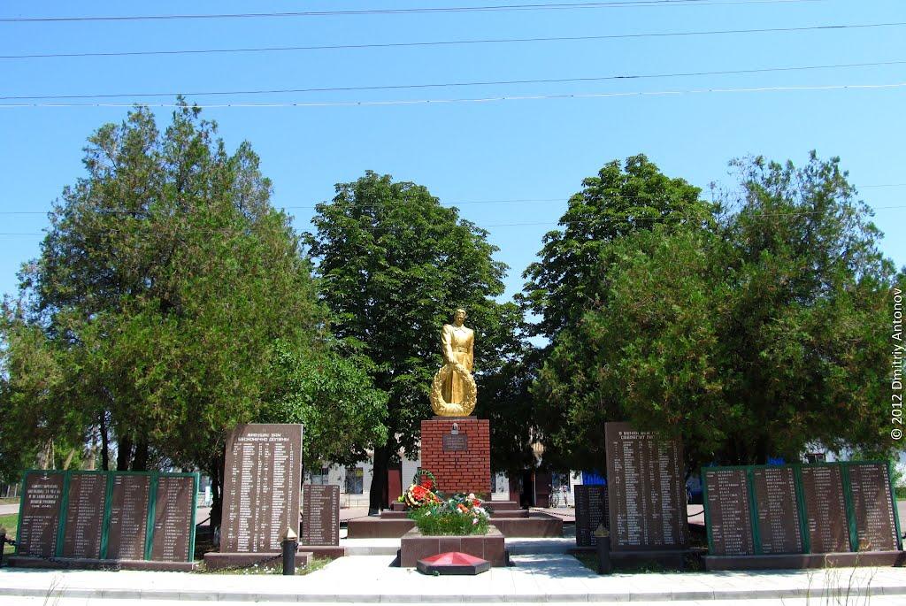 Мар'янське з panoramio.com - Мар'янське