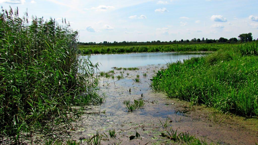 Кузнецовськ з panoramio.com - Вараш