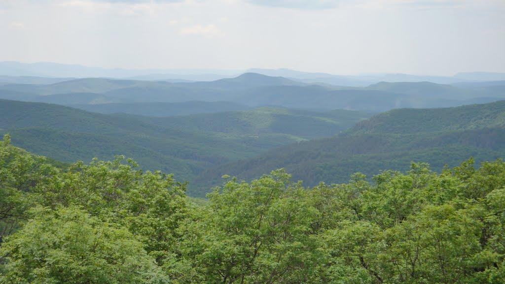 Краснолісся з panoramio.com - Краснолісся