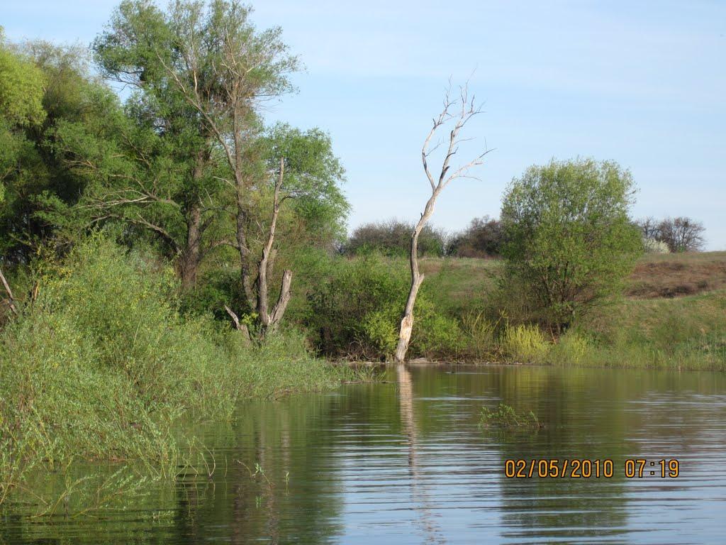 Горлівка з panoramio.com (ч.7) - Горловка