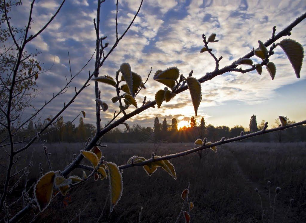 Кривий Ріг з panoramio.com (ч.9) - Кривой Рог