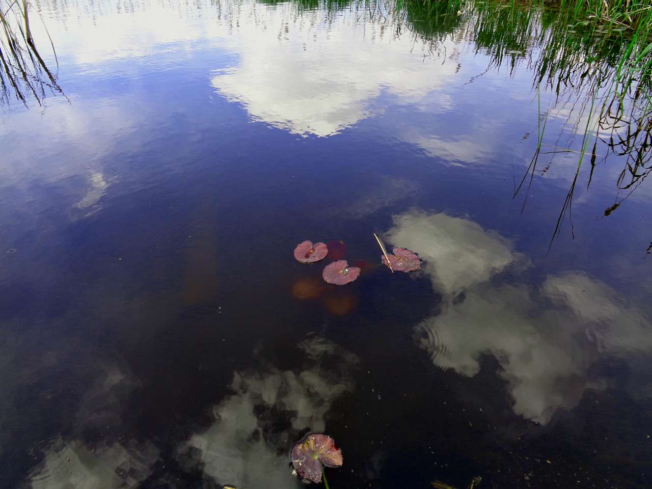село та його жителі в різні часи - Харківці