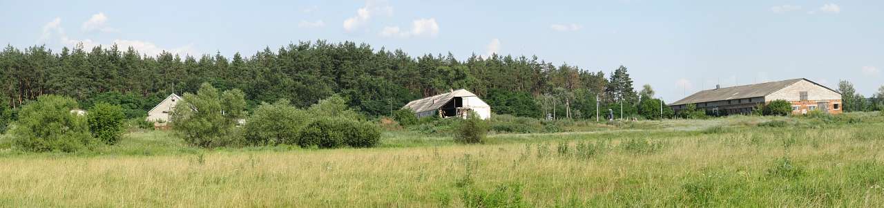 Літо 2016 - Циркуни