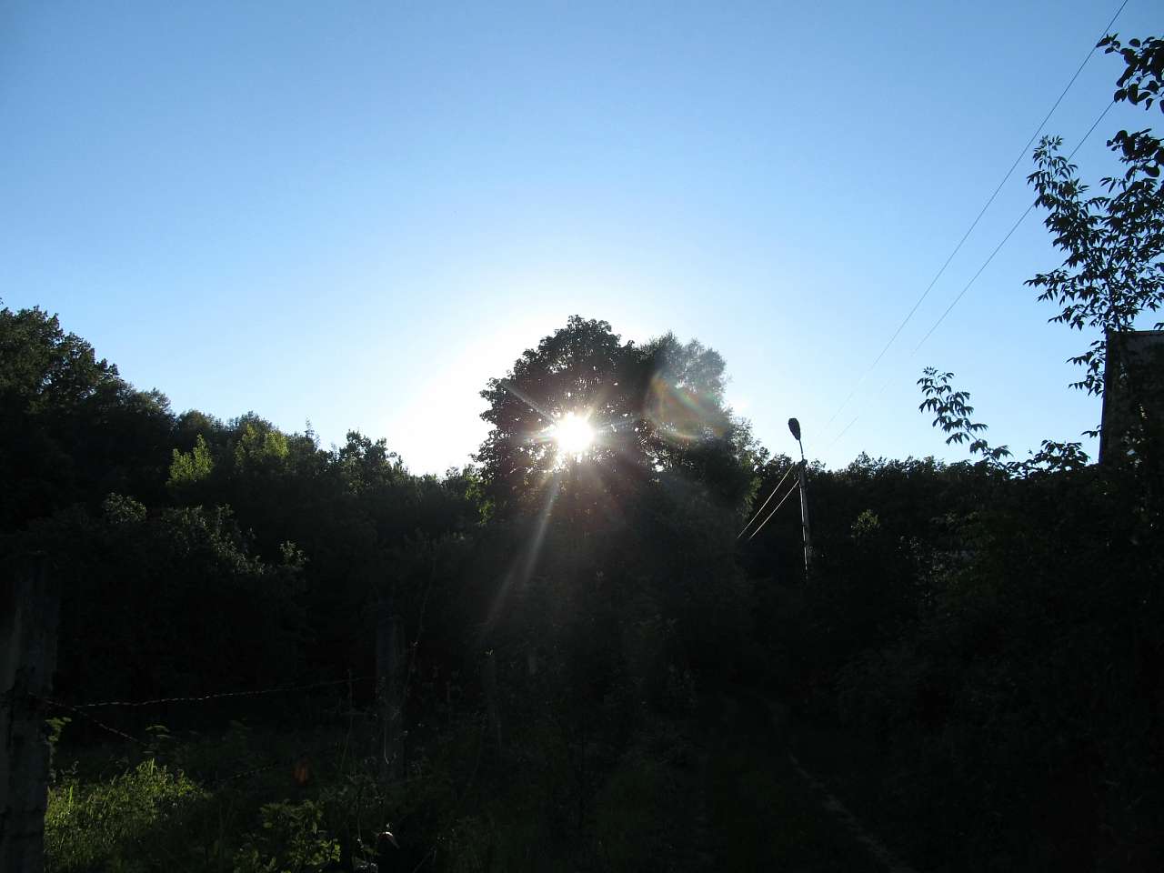 Літо 2016 - Циркуни