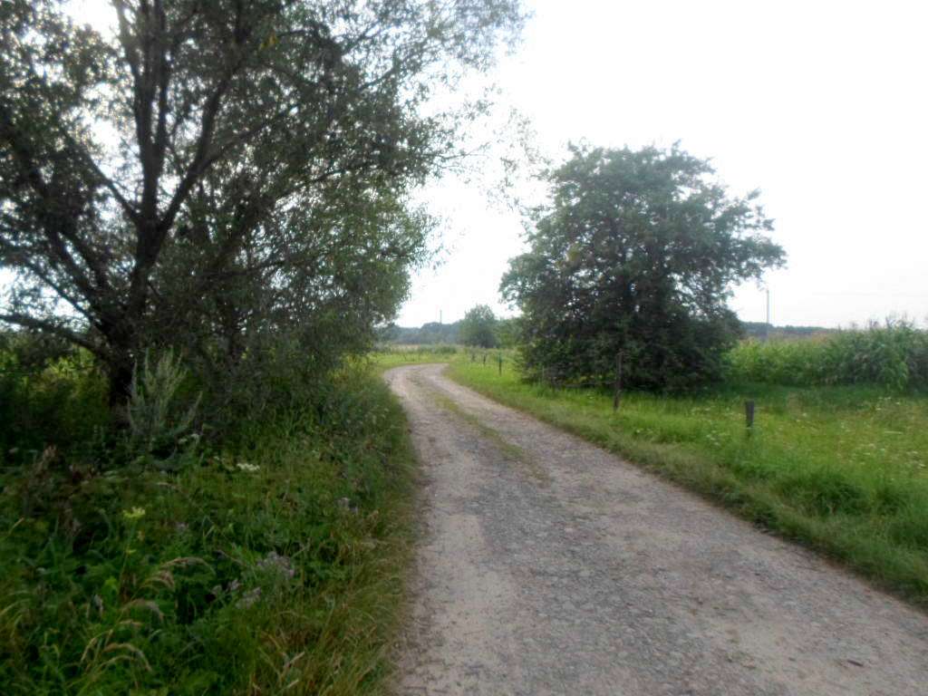 краєвид - Zaplatyn