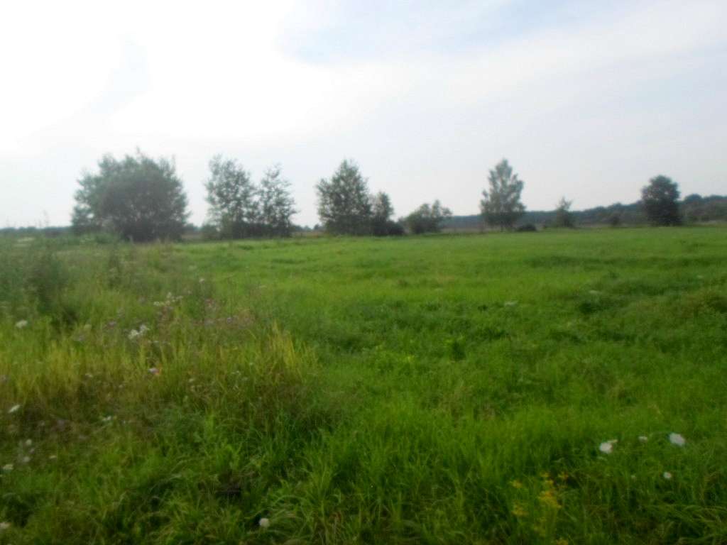 краєвид - Zaplatyn