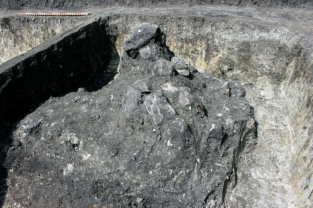 ТРИПІЛЬСЬКИЙ РОЗКОП У ВИННИКАХ - Винники