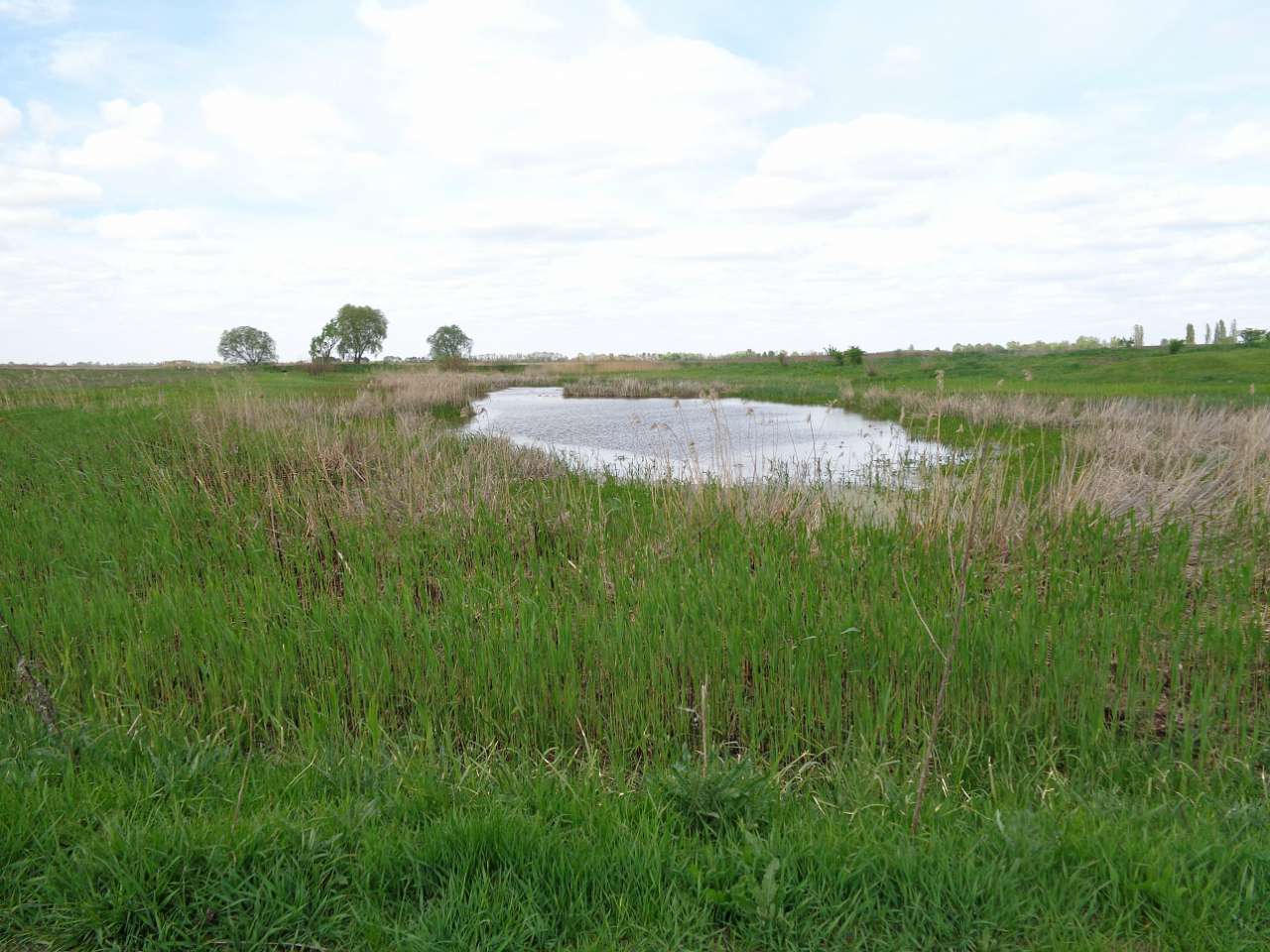 село та його жителі в різні часи - Харківці