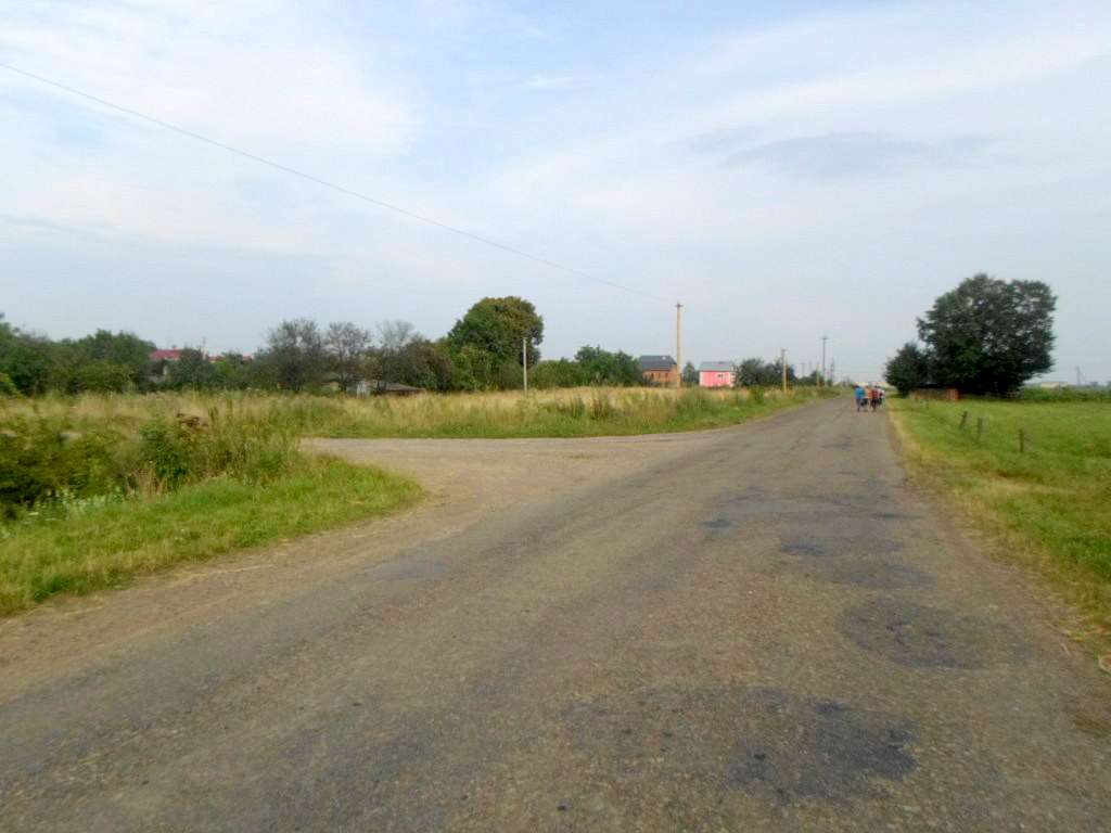 Краєвид - Діброва