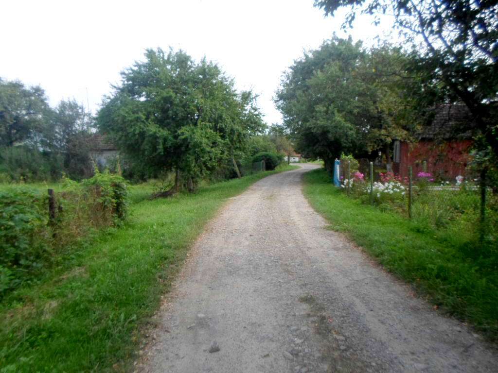 краєвид - Заплатин