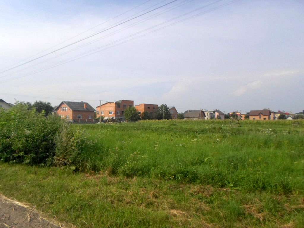 Краєвид - Діброва