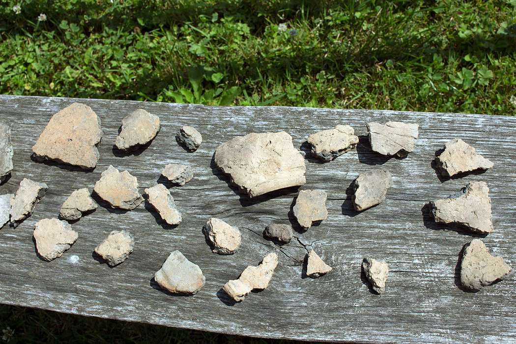 ТРИПІЛЬСЬКИЙ РОЗКОП У ВИННИКАХ - Винники