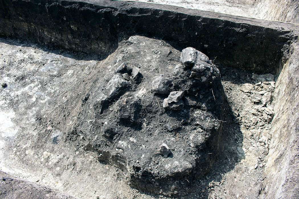 ТРИПІЛЬСЬКИЙ РОЗКОП У ВИННИКАХ - Винники