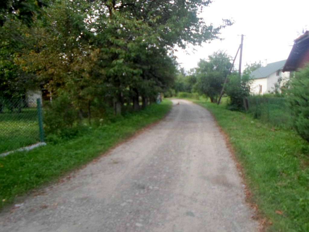 краєвид - Zaplatyn