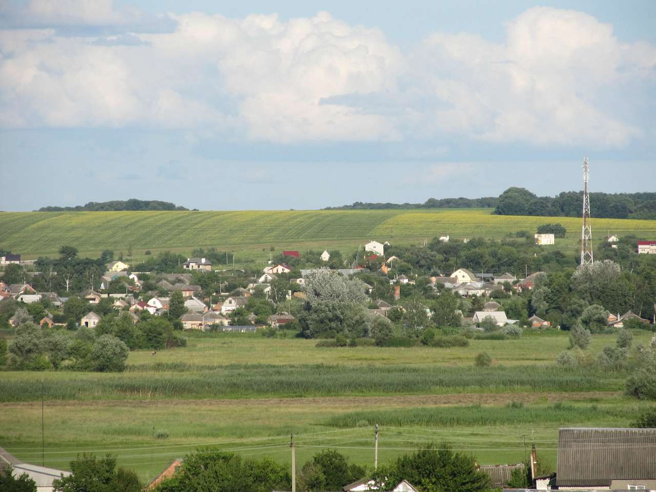 Літо 2016 - Циркуны