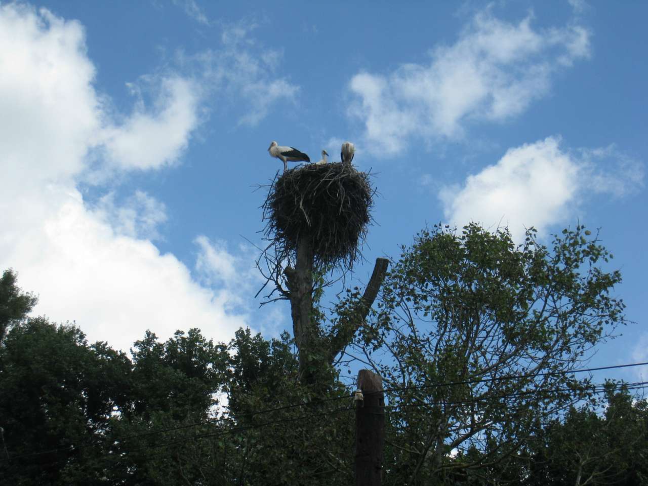 Власівка - Власівка