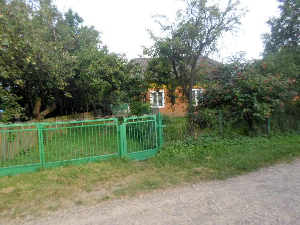 краєвид - Zaplatyn