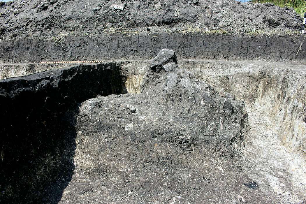 ТРИПІЛЬСЬКИЙ РОЗКОП У ВИННИКАХ - Винники