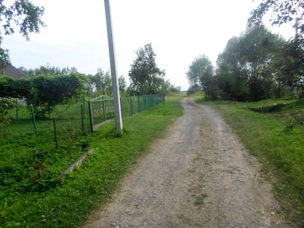 краєвид - Zaplatyn
